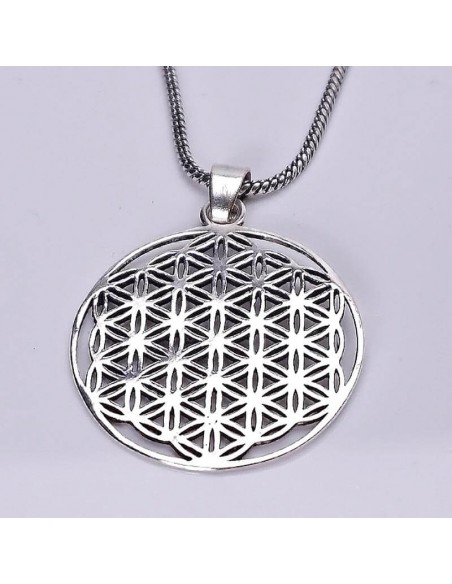 Colgante plateado con diseño flor de la vida.