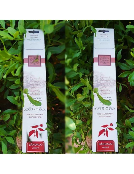 Incienso en varillas bio, sándalo y benjuí: aromaterapia natural y sostenible