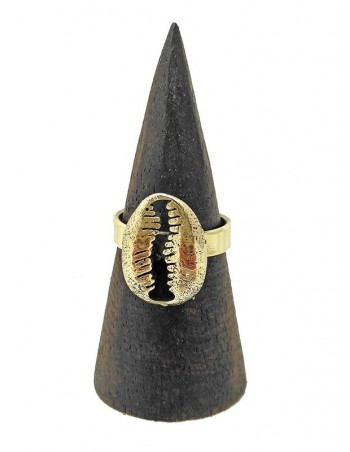 Anillo caracola. ref: AN1447 - 2